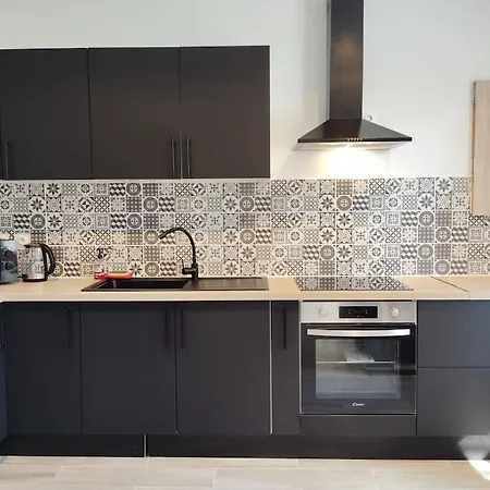 Maison T4 Jardin Parking Clim 아파트 *